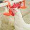 2022 hot sale automatic poultry chicken animal drinking nipple drinker drinking system for chicken