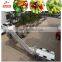 High efficiency potato washing cutting processing machine