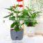 Wholesale Flowerpot Plastic Self-Watering House Plant Indoor Decorative Pot And Planters Planter Pots For Plants Flower