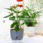 Home Decor Flower Pots & Planters Plants Indoor White Planter Cheap Sale Wholesale Online Self Watering Plant Flower Pot