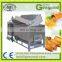 Stainless Steel Potato Chips/Chicken Frying Machine Automatic Fryer Machine