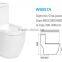 custom porcelain one -piece wc toilet