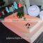 New PE plastic Chair with LED light and remote control 5656H