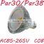 110V/230V 10W COB PAR30 LED par lamps E27/E26/B22 par 30 led mini par lights