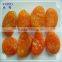preserved apricot products