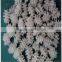 Fried Pellet Chips Pasta Plant making machine