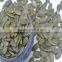 GWS Pumpkin Seeds animal feeds