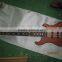 Neck-through 5 String Bass Guitar Electric Custom Design OME Design