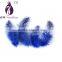 Wholesale Cheap Guinea Fowl Feathers,Dyed Guinea Hen Plumage Feathers
