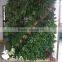Home decoration simulation / artificial / imitation plant wall , grass wall