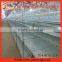 H type battery broiler cage