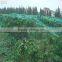 Many kinds of anti-hail nets