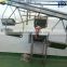 Viscera and offal quarantine conveyor for sheep abattoir with hanging plates and hooks