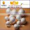 Yiwu white styrofoam plastic ball pit balls