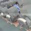 Jiangsu Generator/alternator 220 Volt /generators Stanford 125kva/synchronous Wind Generator China