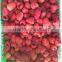 Supply High Quality IQF Frozen raspberry whole