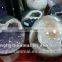 HOT!New Arrival Energy Natural Quartz Crystal Amethyst Ball Geodes