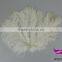 White and Black Ostrich Feather Fancy Dress Party Dressed up Headwear