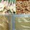 Professional Supplier Supply Dried Ginger Flakes Dehydrated Vegetables