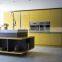 Modern Style kitchen cabinet designs with acrylic door panel