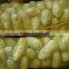 Fresh Chinese potato packing in mesh bag
