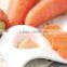 100% Natural food grade Carrot Extract Powder manufacture ISO, GMP, HACCP, KOSHER, HALAL certificated
