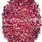 JSX greatest red speckled kidney bean sprouting grade cheap price mottled beans