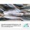 High Quality Frozen Round Scad Mackerel Supplier From China