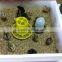 best selling 1kg automatic feeder for chicken