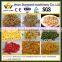 Full automatic best selling in China snack frying machine