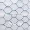 Low carbon steel hexagonal wire mesh