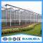 9.6m Each Span Venlo Type Glass Greenhouse For Vegetables