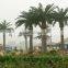 Home garden edging decorative 5ft to 16ft Height outdoor artificial green plastic palm trees EDS06 0820