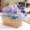 Good quality Wicker wooden flower basket