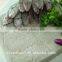 Hot sell 2017 IQF surimi