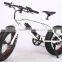 2017 New design 20 inch 36V 350W non-foldable electric fat bike