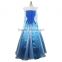 Sleeping Beauty Aurora Costume Blue Princess Dresses Adult Women Costume