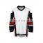 hockey shooting pad / uhmwpe dasher board/synthetic ice rink sheets