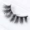 eyelash factory,eyelash extension,3d eyelash extension