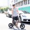 Ivelo M1 Electric Bicycle with Pedal, 14-inch tires,Front and rear wheel double disc brake,Lithium electric bike