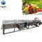 fruit and vegetable washing and drying machine