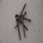 Common Iron Nail for Building Material Construction