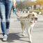 HQ  Retractable Dog Walking Nylon Tape Leash for Heavy Duty up to 110lbs with Anti-Slip Handle