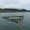 Square And Circle Deep Water Cage Sea Cage Fish Farming