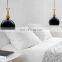 Hot Selling Elegant Fine Coffee Shop Restaurant Pendant Light