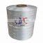 Supply 750D polypropylene yarn for filtration