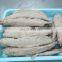 precooked bonito tuna loin frozen skipjack tuna loin