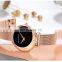 Hannah Martin HM-1334 Branded girls quartz watches quality steel starry sky luxury ladies fancy wrist watches