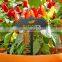 Satisfaction Guaranteed Label Name Acrylic Pot Custom Outdoor Slate Plant Markers