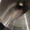 304/316 Stainless Steel Pipe - OD 6-300mm, WT 0.8-12mm, Seamless/Welded, Corrosion Resistant for Food Industry, Chemical Engineering & Water Treatment